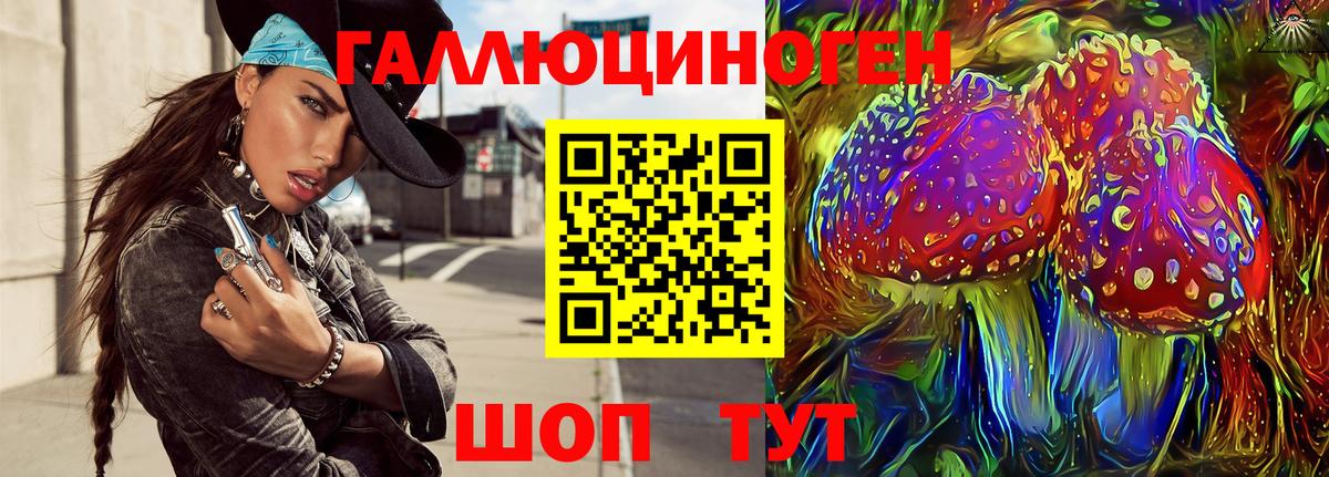 Псилоцибиновые грибы Cubensis Узловая